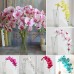 Artificial Butterfly Orchid Silk Flower Wedding Party Fake Home Bouquet Decor   223102868712